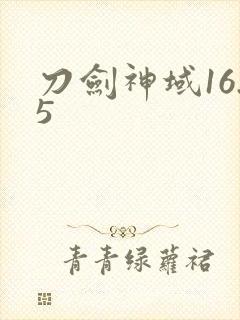 刀剑神域16.5