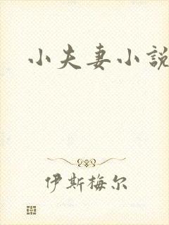 小夫妻小说