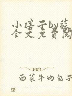 小瞎子by苏软全文免费阅读