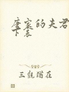 唐家的夫君们帘下衾