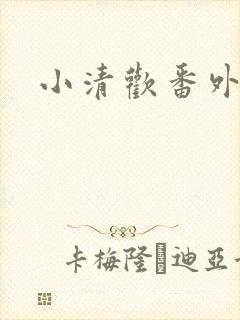 小清欢番外