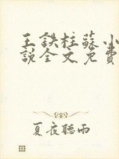 王铁柱苏小汐小说全文免费阅读最新章节