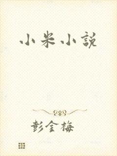 小米小说