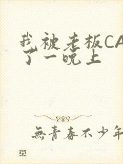 我被老板CAO了一晚上