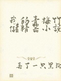 我的青梅竹马是储精器小说