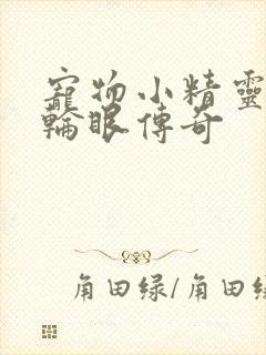 宠物小精灵之写轮眼传奇