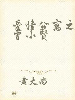 爱情公寓之极品曾小贤