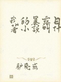 我的暴露日记原著小说叫什么