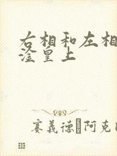 右相和左相一起淦皇上