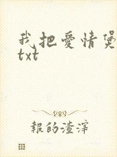 我把爱情煲成汤txt