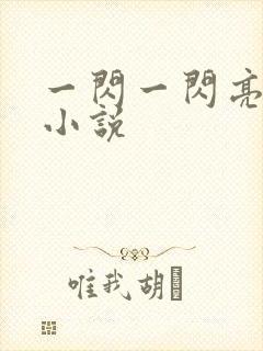 一闪一闪亮星星小说