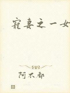 宠妻之一女二夫