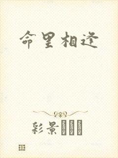 命里相逢