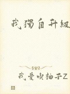 我独自升级小说