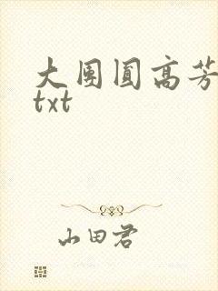 大团圆高芳小说txt