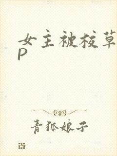 女主被校草们NP