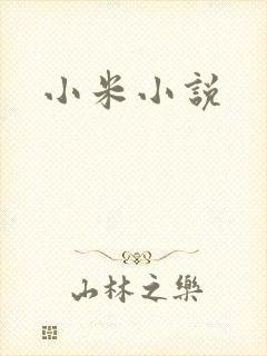 小米小说