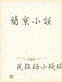 兰京小说