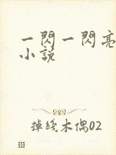 一闪一闪亮星星小说