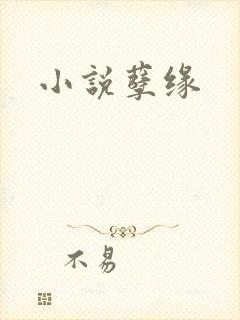 小说孽缘