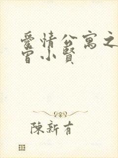 爱情公寓之极品曾小贤