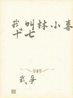 我叫林小喜今年十七