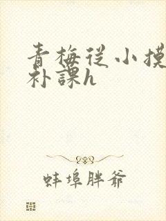 青梅从小摸到大补课h