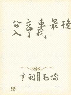 公交车最后一排入了我