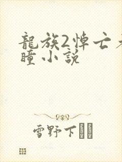 龙族2悼亡者之瞳小说