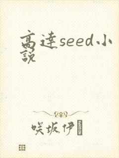 高达seed小说
