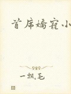 首席娇宠小情人