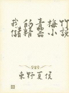 我的青梅竹马是储精器小说