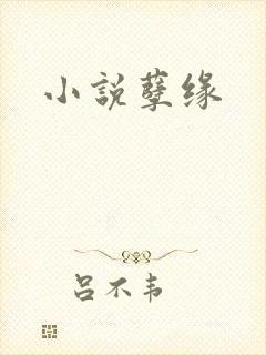 小说孽缘