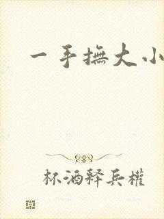 一手抚大小说