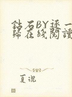 钻石BY逐一而归在线阅读