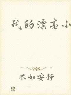 我的漂亮小后妈
