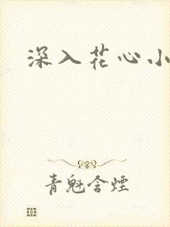深入花心小说