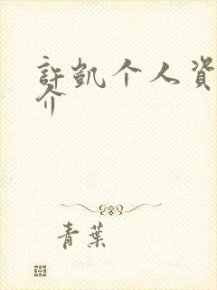 许凯个人资料简介