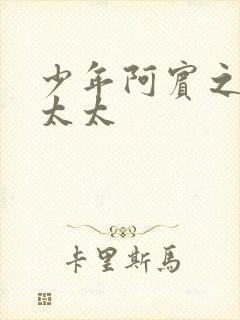 少年阿宾之房东太太