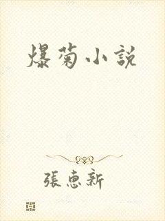 爆菊小说
