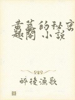 黄蓉的秘密 笔趣阁 小说