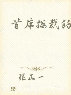 首席总裁的逃妻