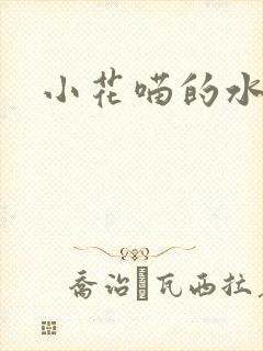 小花喵的水蜜桃