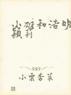 小雄和浩明夹击颖莉