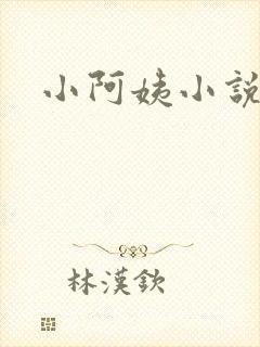 小阿姨小说