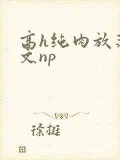高h纯肉放荡h文np