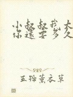 小叔叔我太累了你还要多久