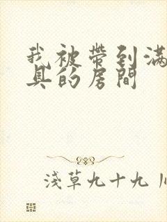 我被带到满是玩具的房间