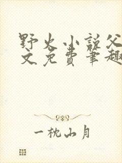 野火小说父女全文免费笔趣阁