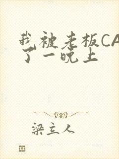 我被老板CAO了一晚上